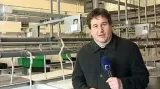 Reportáž Markéty Hýlové a Petra Šuleře