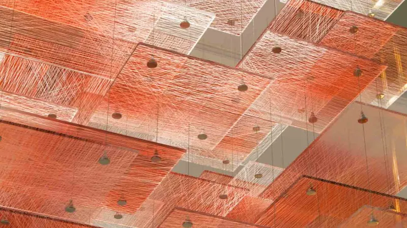 Jitka Kamencová Skuhravá / Net Light