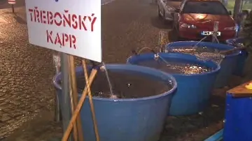 Prodej vánočních kaprů