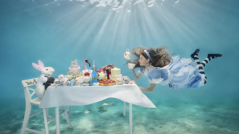 Vítězný snímek kategorie Móda pod vodou