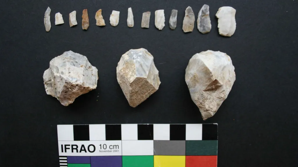 Zachráněné nálezy z archeologické lokality