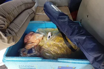 Ve voze bez chlazení inspektoři našli osmdesát kilo prošlých potravin, mířily na festival