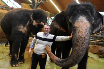 Ředitel ústecké zoo rezignoval. Kvůli přenicím s dozorčí radou