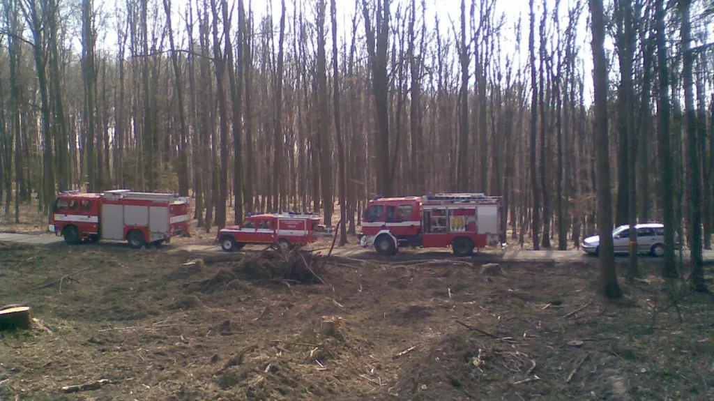 Stav lesního dělníka, kterého zavalil strom, je velmi vážný