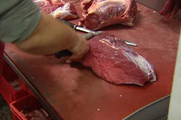 V Moravskoslezském kraji je 14 pacientů s tasemnicí