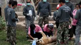 Přesun tygrů z kontroverzního thajského chrámu