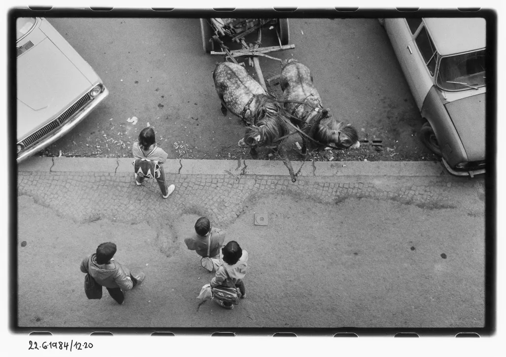 Pohledy z okna mého bytu, 1984