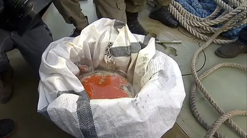 Skříňka zříceného letadla Tu-154