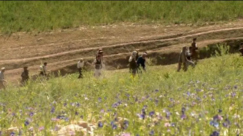 Reportáž Lucie Nechvátalové a Jitky Szászové a vyjádření Karla Schwarzenberga