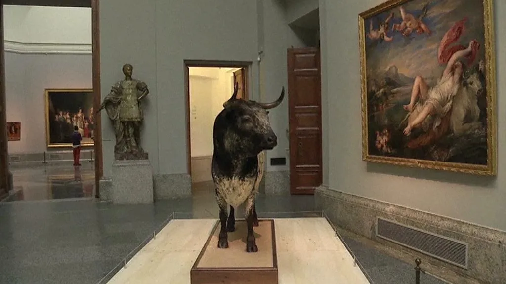 Muzeum Prado / Historias Naturales