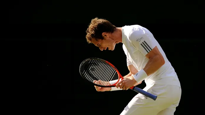 Andy Murray na Wimbledonu