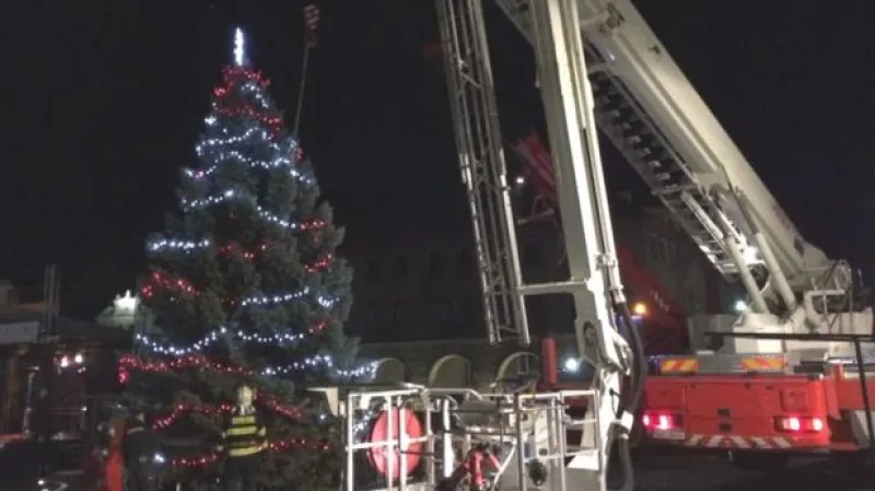 Pozor na vítr: Může lámat stromy, v ohrožení jsou i ty vánoční