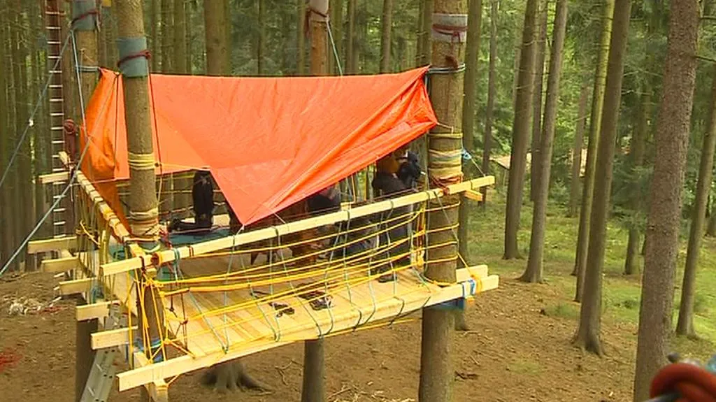 Netradiční domek mezi kmeny stromů