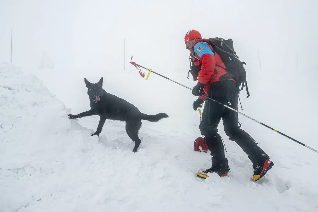 Záchranáři se psy nacvičují v Krkonoších záchranu z lavin