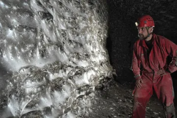 Největší objevená pavučina světa má přes sto metrů čtverečních