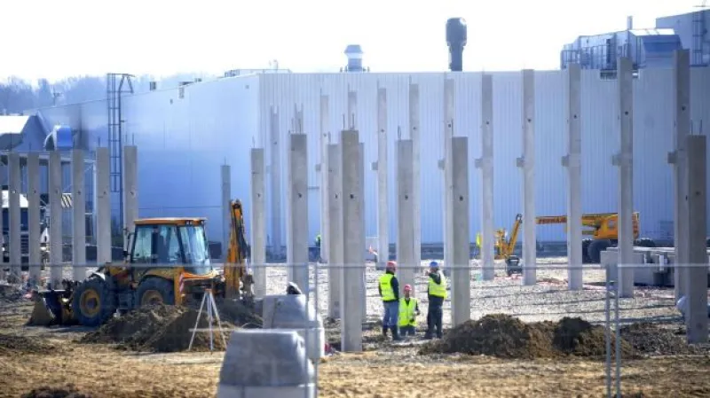 Struž: Nejvýznamnější firmy dávají ekonomice nejen zisk, ale i daně