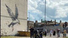 Racek od Banksyho na domě v Lowestoftu