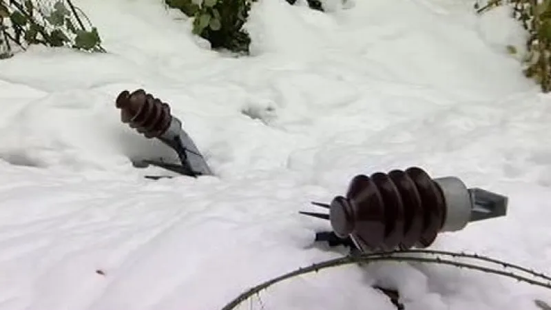 Spadlé elektrické vedení