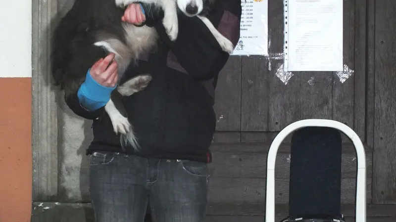 Sbírka pro zvířecí záchytnou stanici v Boskovicích