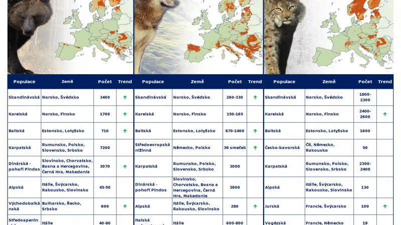 Rozšíření šelem v Evropě