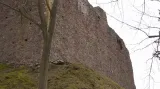 Zeď hradu Litice