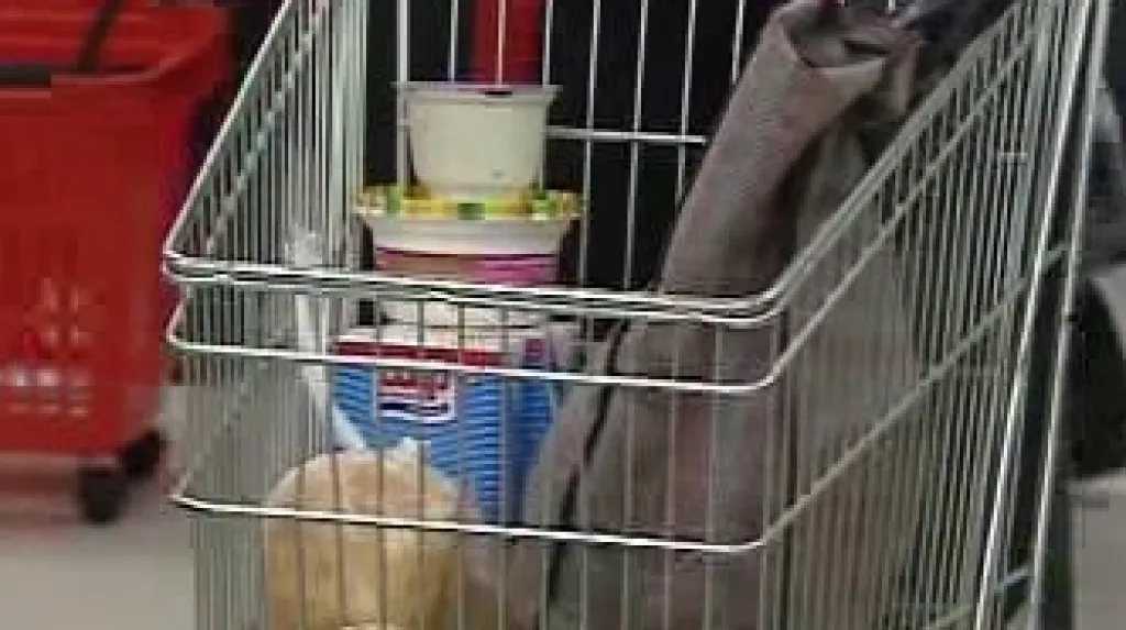 Nákupní košík