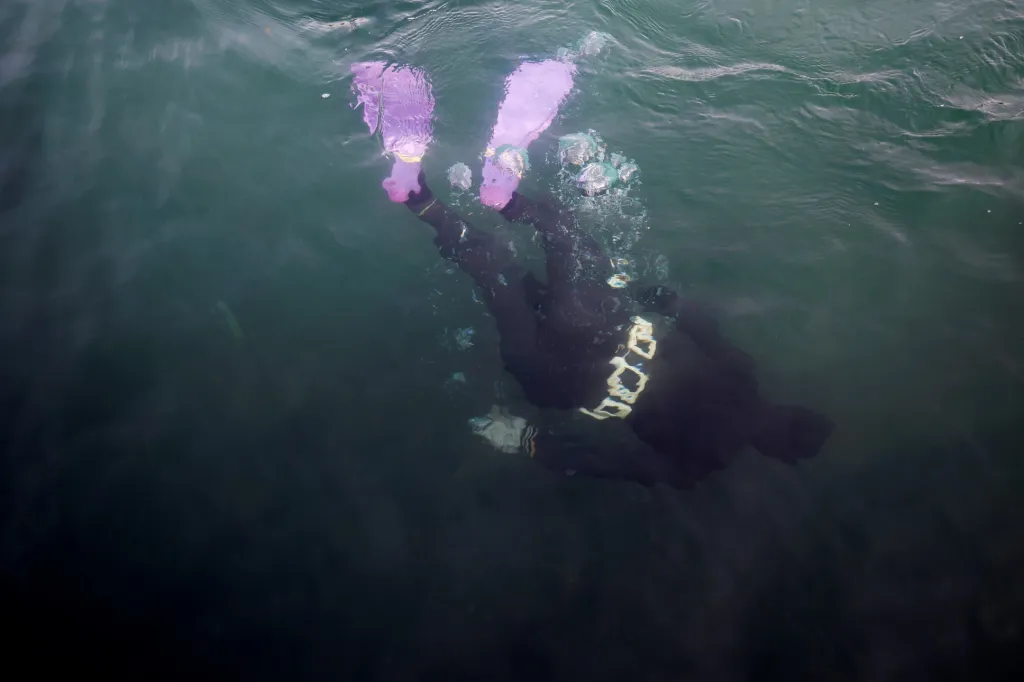 Nejstarší potápěčky světa pociťují důsledky klimatických změn. Rychlé oteplování moře v oblasti jihokorejské provincie Čedžu má za následek snižování počtu mořských živočichů