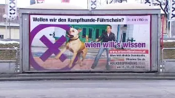 Vídeňské referendum