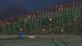 Vinař Daniel Grab ve švýcarském Adlikonu používá hořící parafin ve džbánech rozmístěných po vinici k ochraně mladých keřů před umrznutím