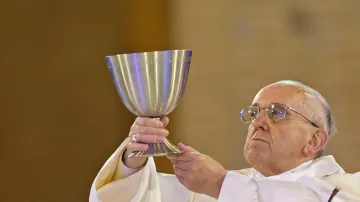 Papež František slouží mši v Aparecidě