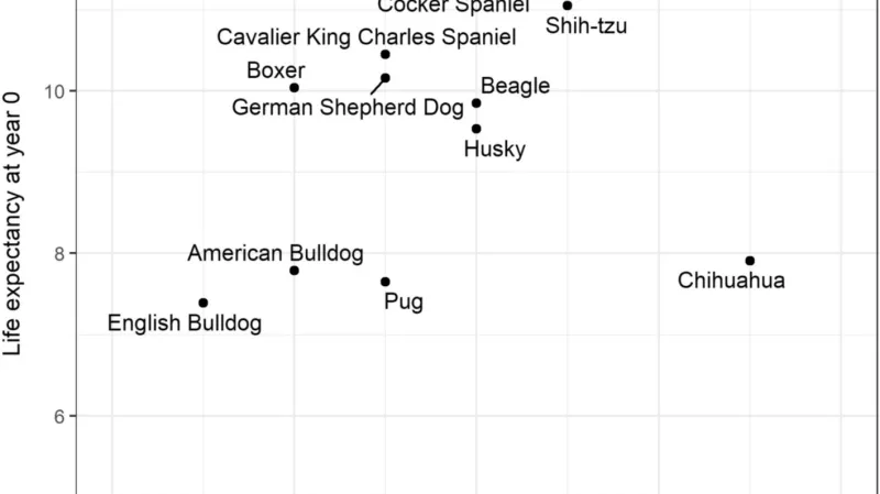 Očekávaná délka dožití u různých psích plemen