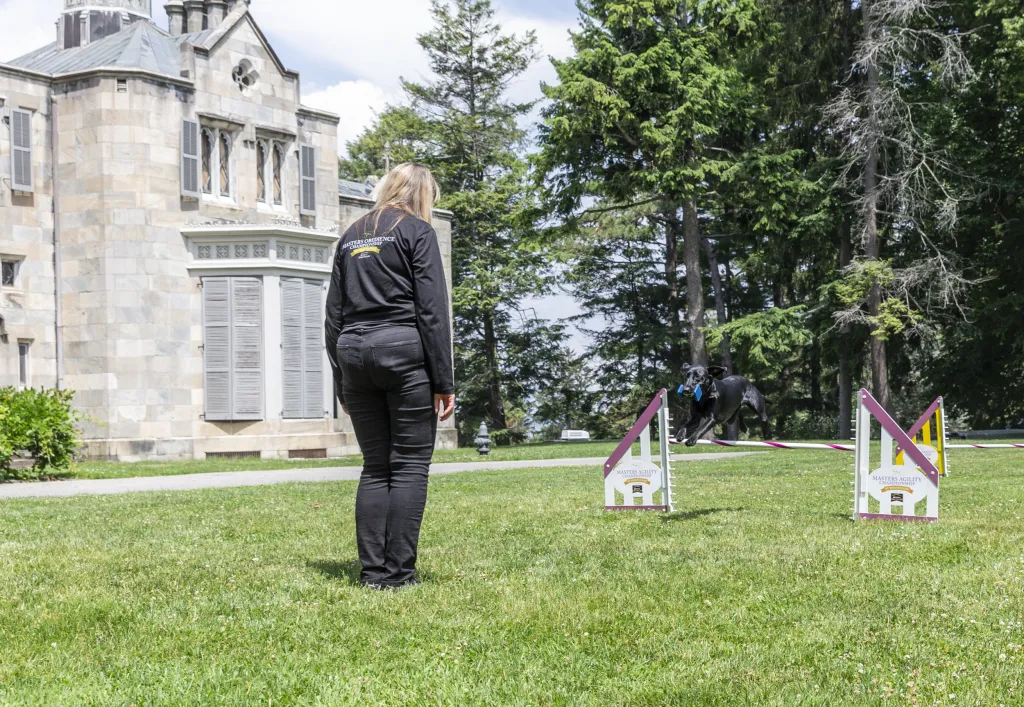Jedna z nejstarších přehlídek psů na světě pořádaná klubem Westminster Kennel Club Dog našla nové místo v zahradách gotického usedlosti zvané Lyndhurst Mansion