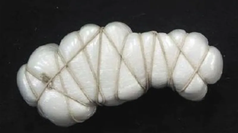 Slovenská část v díle Davida Černého