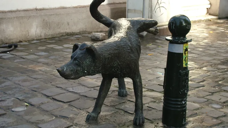 Bruselský Zinneke Pis