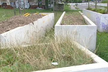 Nechtěné květináče mizí. Poslední betonové truhlíky si lidé z Prahy 5 odvezou do konce roku