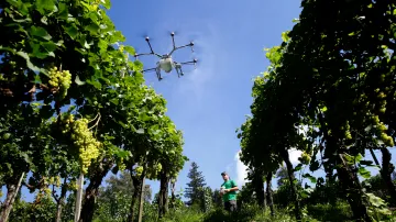 Drony v zemědělství