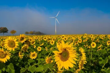 Vláda řeší miliardy zeleným elektrárnám. Vitásková je stále proti