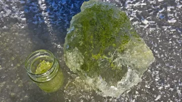 Zelený led na Lipně