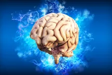 Lidský mozek začíná zpomalovat až po šedesátce, odhalil výzkum