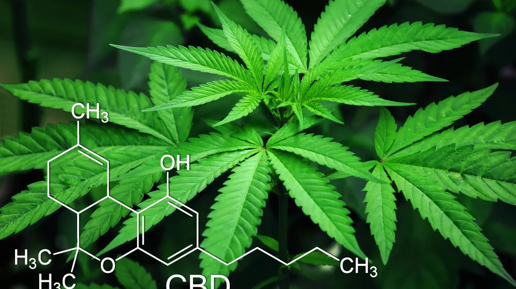 Marihuana