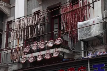 V lednu přijede do Wu-chanu inspekce WHO. Místní nevěří, že covid pochází právě odsud