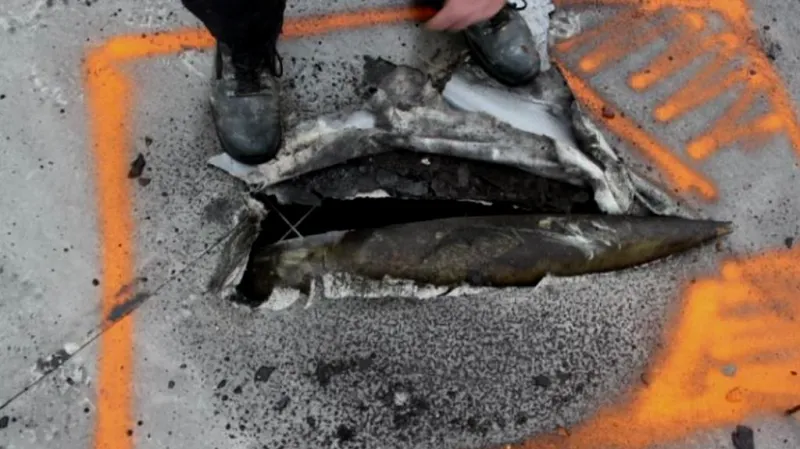 Pyrotechnici odstraňovali dělostřelecký granát ze střechy skladu