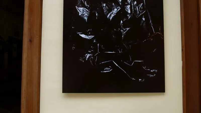 Výtvarný Den Země v Monreale