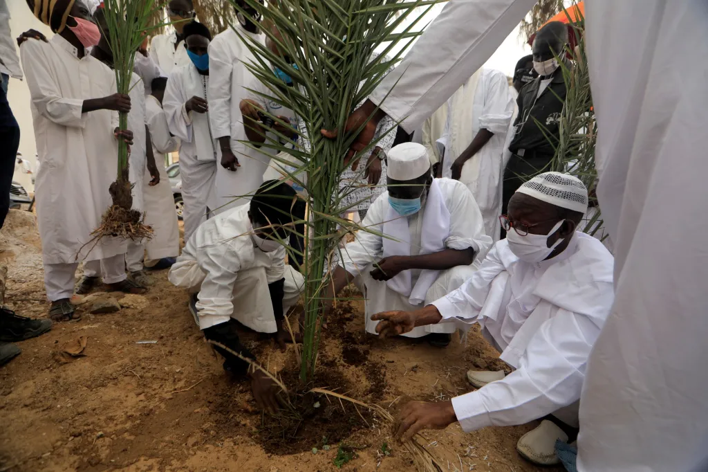 Na snímku jeden z imámů sází stromy v okolí mešity. V Senegalu je 94 procent obyvatelstva islámského vyznání, proto oslovení církevních vůdců hraje v propagaci akce významnou roli