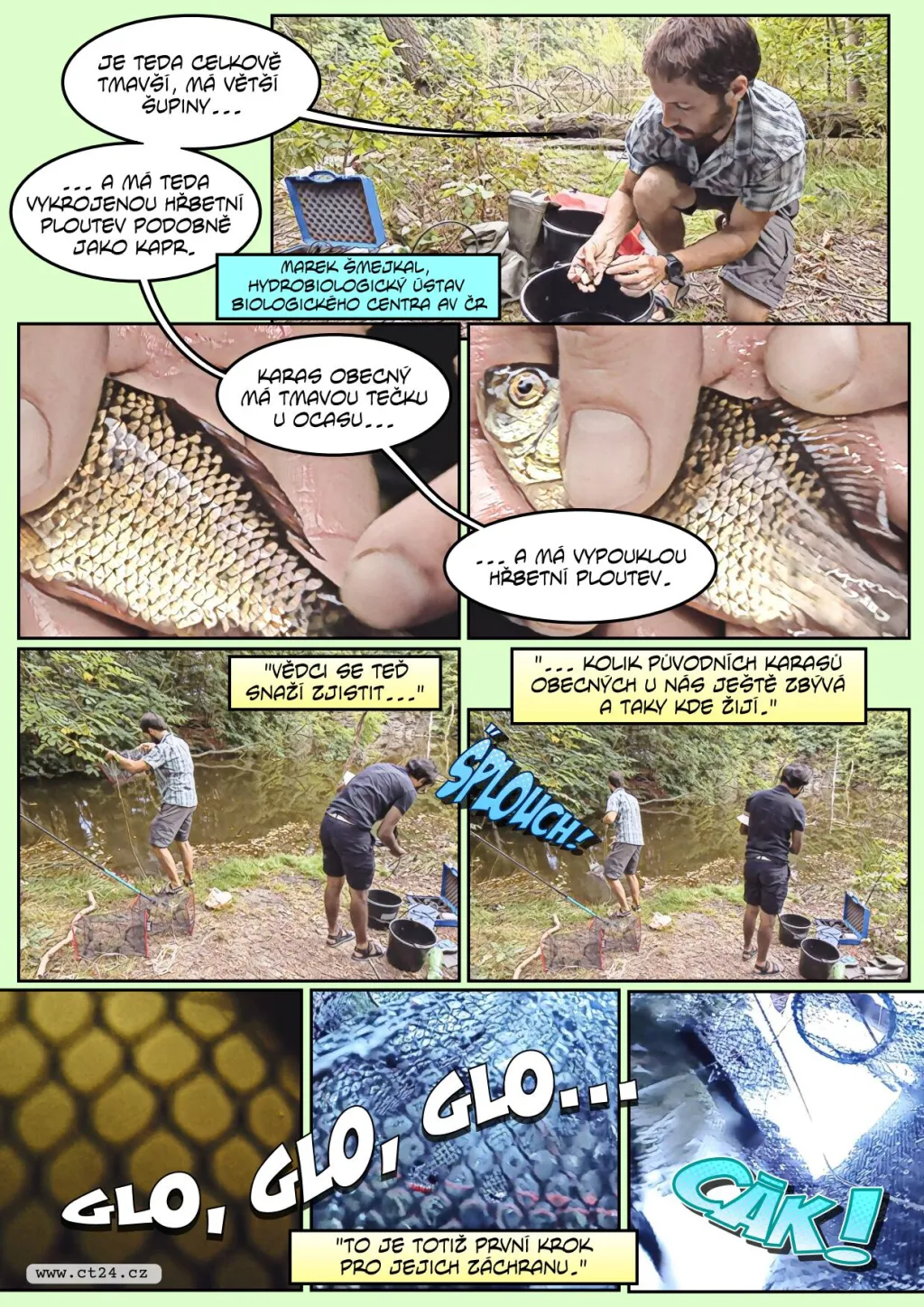 Nový projekt má pomoci oslabeným karasům