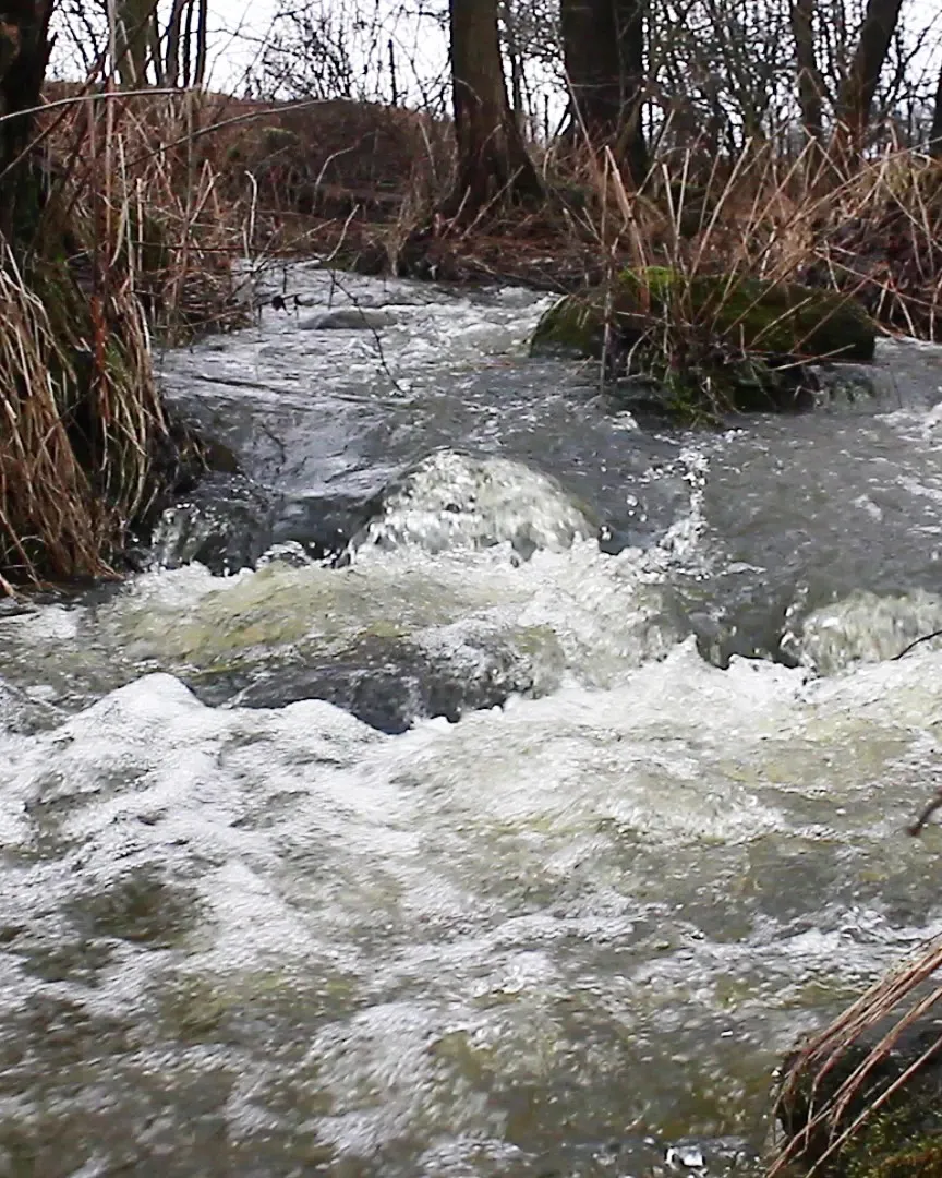 Obleva zvedla hladiny řek na povodňové stupně