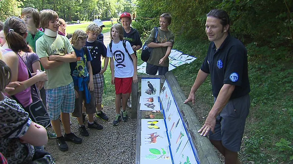 Den Šumavy v oboře Hvězda