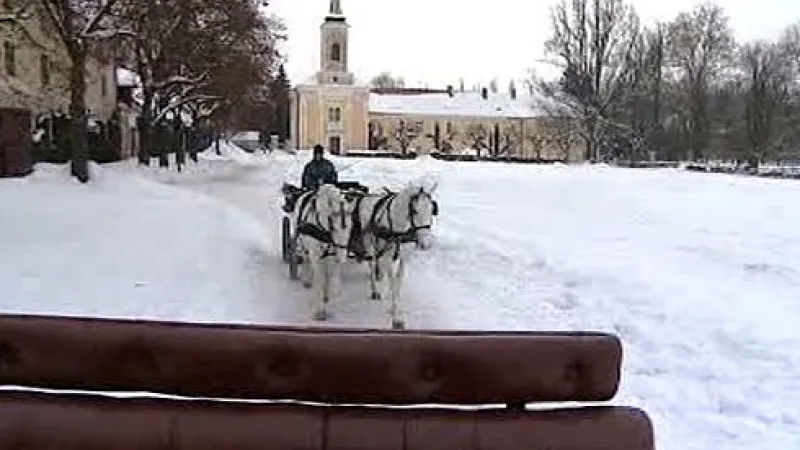Hřebčín v Kladrubech