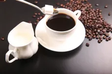 Kůrovci ohrožují kávu. V Brazílii poškodili až třetinu úrody