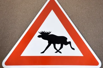 Mezi dopravní značky možná přibude upozornění na losy